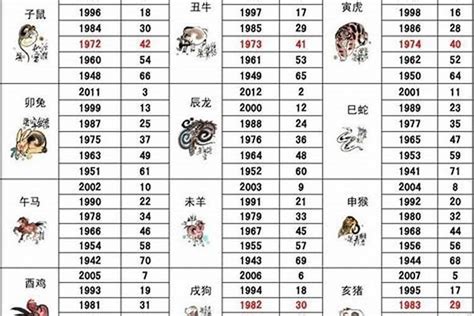 1975年什么命|1975年出生是什么命？(木兔之命)